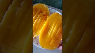 Slice Mango Fruit sweetmangomanggashorts ll Mom Jin Vlog [upl. by Ainafets]