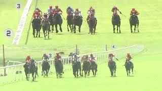 MYSTICAL MERLIN with Faiz up wins The Secunderabad Plate Div2 2024 RACE 50 [upl. by Linad859]