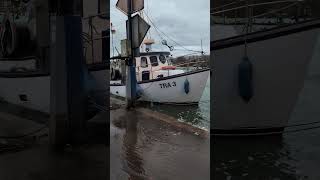 Hochwasser im Fischereihafen sturm hochwasser travemünde [upl. by Angelia]