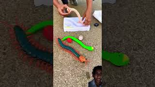 race of remote control snake [upl. by Mandel363]