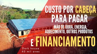 QUANTO POR CABEÇA PARA PAGAR TODOS OS CUSTOS DE 1 AVIÁRIO DESSE PORTE frango de corte [upl. by Ennove]