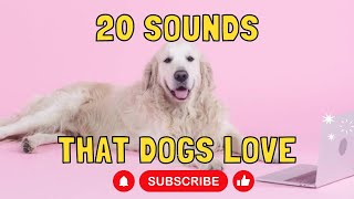 20 Sounds that Dogs Love [upl. by Stochmal]