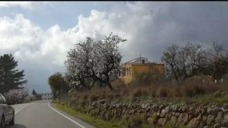 Jalon Valley In full bloom February 2017  Côr Meibion Pontarddulais male voice [upl. by Florenza]