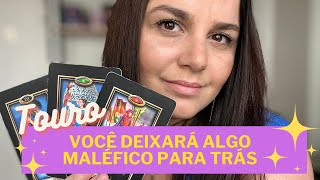 TOURO TAROT VOCÊ CONQUISTARÁ MUITO SUCESSO COM O QUE COMEÇAR A FAZER AGORA [upl. by Ealasaid864]