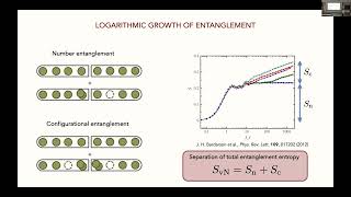 OpenQMBP2024 Leonard Manybody delocalization in an optical lattice [upl. by Lipscomb]