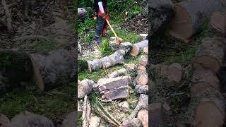 Bucking amp Hookaroon action Firewood [upl. by Nnalatsyrc]