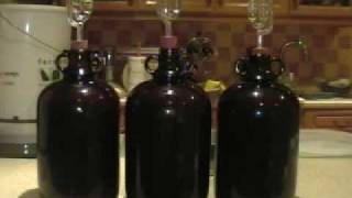 How to Make Wine from Grapes at Home [upl. by Catlin]