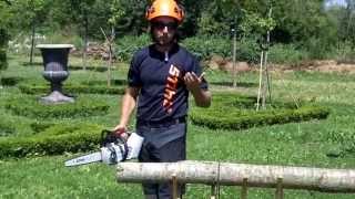 STIHL FRANCE  MSA 160 T MSA 200 CBQ Jérémy LAURENT élagueur pro démonstrateur ArboriSTIHL 2014 [upl. by Nauht]