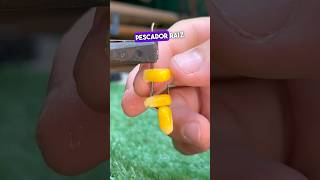 Técnica de índio para colocar milho 🌽 no anzol 😱 pesca anzol shorts tools dica [upl. by Zennas]