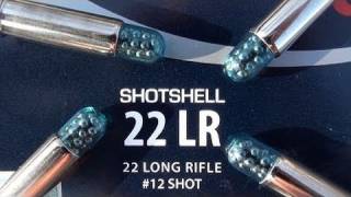 22 LR CCI Shotshell [upl. by Yecnuahc]