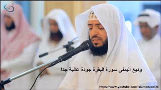 Best Recitation of Surah Al Baqarah By Wadi Al Yamani [upl. by Sheryle]