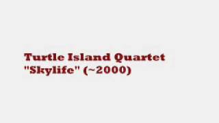 Turtle Island Quartet  Skylife [upl. by Wiencke]