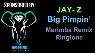 JAYZ  Big Pimpin Marimba Ringtone and Alert [upl. by Randy256]