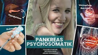 Bauchspeicheldrüse  Psychosomatik  Diabetes Hypoglykämie Pankreatitis [upl. by Atiuqad]