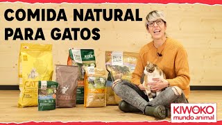 Pienso NATURAL para GATOS 🐈🥦【Consejos y Beneficios】🥇 [upl. by Eittak772]