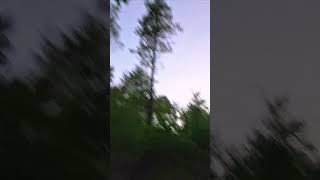 Goshawk flying very high o I will get closer WildCampingsussex [upl. by Aihsak]