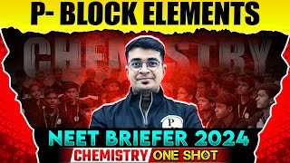 PBLOCK ELEMENTS in 1 Shot  NEET Chemistry 2024  NEET Briefer By PW Pathshala [upl. by Rodl]