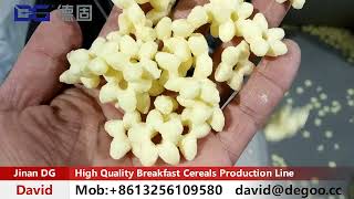 How Qualilty Breakfast Cereals Baby Puffs Production Line Well Working in Iran [upl. by Llednew]