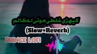 Kehri Ghalti Hoi A ZALIM  Sraiki Song  SlowReverb 2024  Prince Lofi [upl. by Dabney]