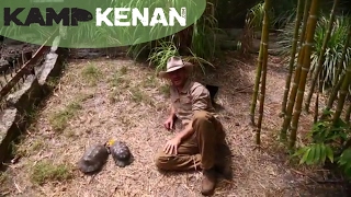 Ultimate Marginated Tortoise Care Tutorial kamp kenan [upl. by Eiuol336]