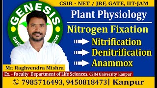 Nitrification  Denitrification Plant PhysiologyCSIR NETJRF  GATE  Life science  ICMR IITJAM [upl. by Ailimat]