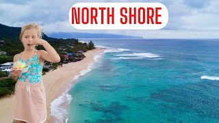 Top 5 Attractions in North Shore Oahu [upl. by Jump510]