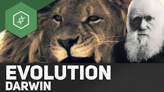 Evolutionstheorie von Charles Darwin [upl. by Nnahsal658]