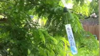 Japanese Wind Bell  Furin [upl. by Catie]