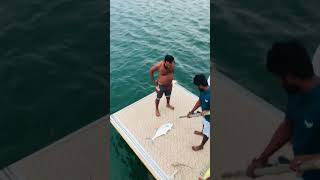 Wow Queenfish catching කටිටාවා fishing queenfish srilankanfishing keralafishing shorts [upl. by Tinya]