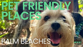 The BEST DogFriendly Spots in the Palm Beaches [upl. by Mariana]