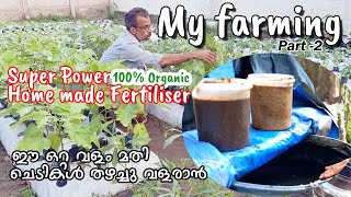 100 മേനി വിളവിന് ഈ വളം മാത്രം മതി  Organic home made Fertilizer  My Vegetable Farming Part2 [upl. by Ynafets553]