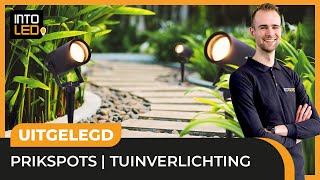 LED Prikspots in je tuin  Gijs vertelt je waar je op moet letten [upl. by Luanne]