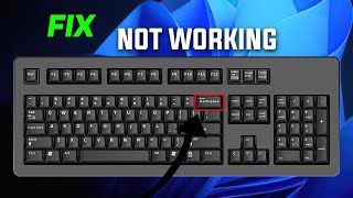 Fix Backspace Key is Not Working in Windows 10  11  Solve back space key not working ✅ [upl. by Schoenberg343]