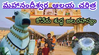 మహానంది Mahanandi Temple Trip in Telugu Mahanadishwara Swamy Temple Water speciality Many In One [upl. by Rafi]