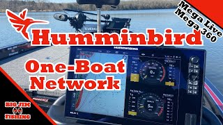 My Humminbird Network [upl. by Leerzej]