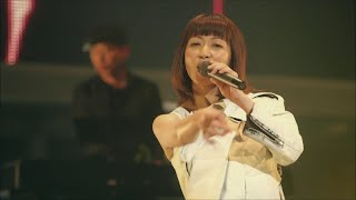 Every Little Thing  ハイファイメッセージ from ON AND ON concert tour [upl. by Westlund]