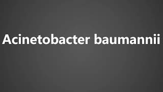 How To Pronounce Acinetobacter baumannii [upl. by Natan]