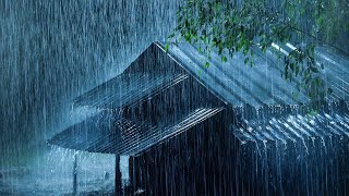 Put YOU to Sleep Instantly with Heavy Rain on Metal Roof amp Thunder Sounds  Relaxing White Noise [upl. by Llywellyn631]