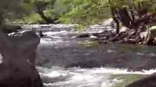 Open Boaters Run The Falls on Nantahala River  Red Boat 1st [upl. by Kristan]