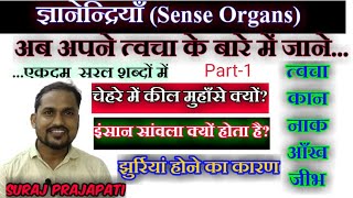 ज्ञानेंद्रियां  Sense Organs in Hindi  Skin Ear Nose Eye TongueSense Organ kya hote haiARSH GS [upl. by Toland]