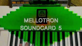 Mellotron Sound Card 05 Demo with Chase the Horseman [upl. by Naujd147]