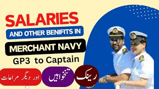 Merchant Navy Salaries EXPOSED Shocking Truth About Benefits [upl. by Bozovich201]