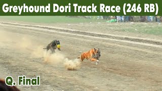 Dog Race  Dori Track Race  Round No 4  27102024 Panjha shref dog trending viralvideo [upl. by Nolyad]