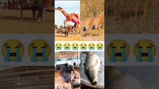 allahor zikir Chormonai 😭 jikir shorts zikir shortvideo viralvideo viralshort [upl. by Nahsaj630]