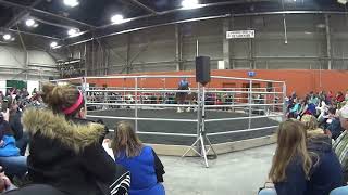 Jeff Michael Rides A Clydesdale BAREBACK [upl. by Namsaj206]