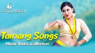 Non Stop Hit Tamang Songs  Best Tamang Selo Music Videos Collection  Nepali Songs [upl. by Rasecoiluj]