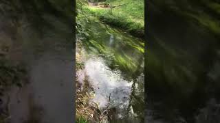 Video of The Camp  Cloudcroft RV Park NM from Jessica U [upl. by Haiel]