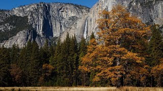 Fotografieren im Herbst  52 Wochen Challenge 33 [upl. by Biancha]