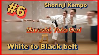 6Shorinji Kempo training practice techniques Secrets of strong kicksMawashiYoko Geri 武道少林寺拳法 [upl. by Cottle232]