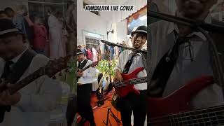 Jambalaya live cover [upl. by Brittan]